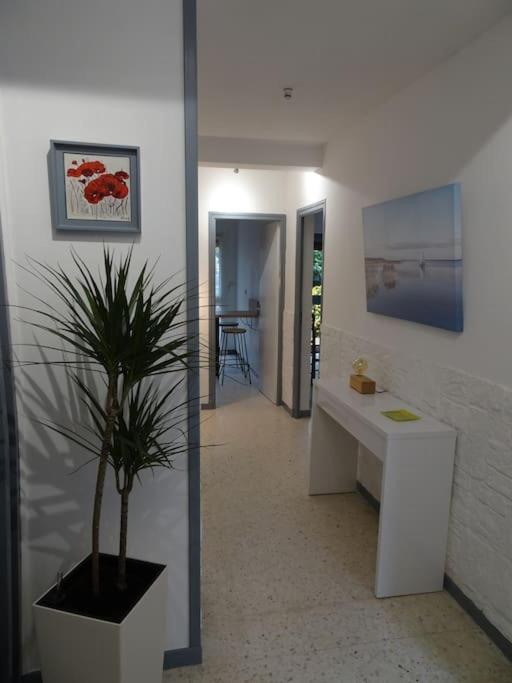 Grande Maison 3 Chambres - Jardin, Terrasse Et Parking - Bord De Mer Torreilles Exterior foto